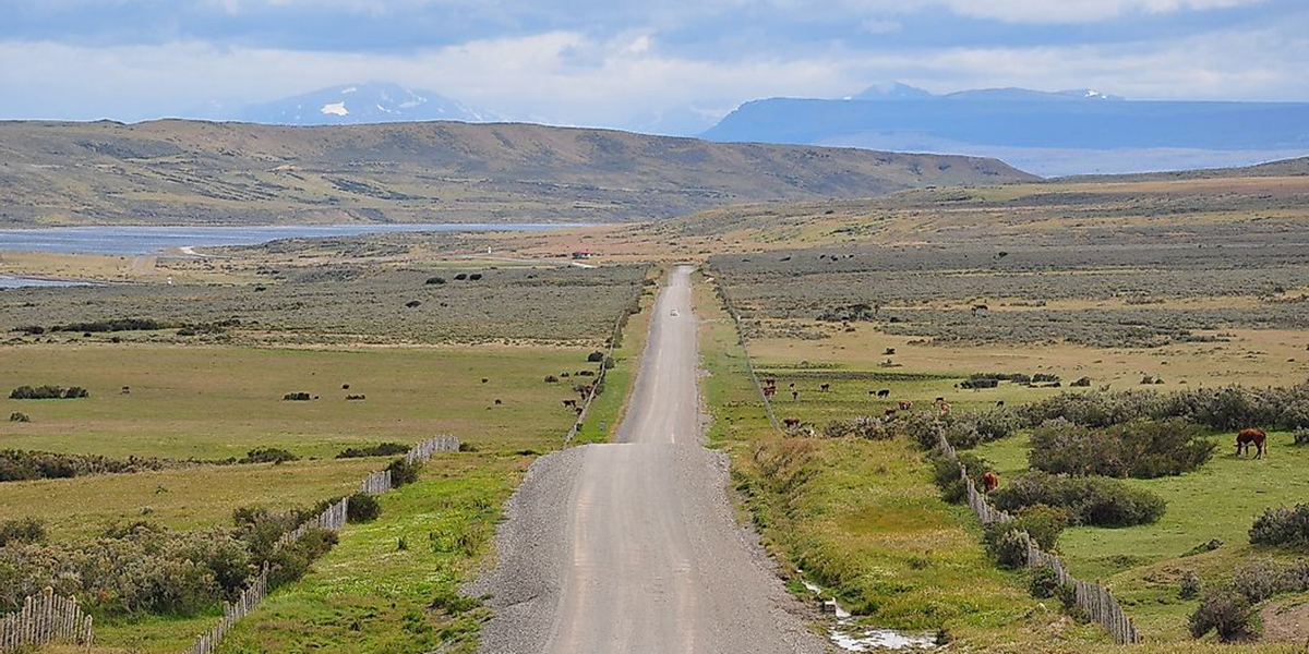 Grassland located in Patagonia, Chile