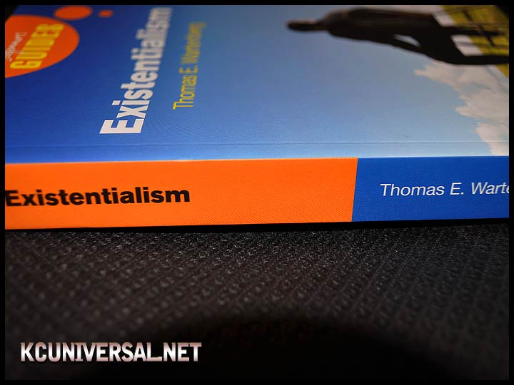 Existentialism: A Beginner's Guide (spine)