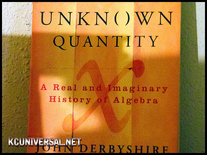 Unknown Quantity paperback (front)