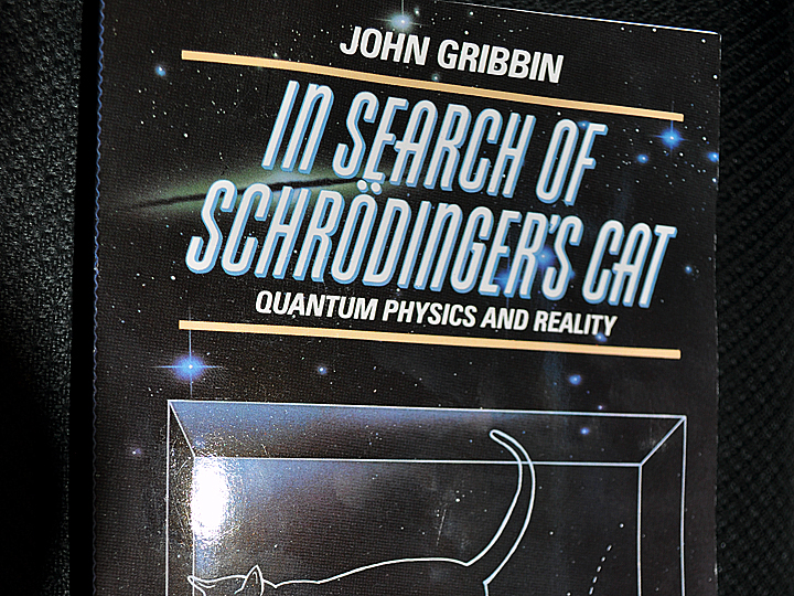 In Search of Schrödinger's Cat: Quantum Physics and Reality by John Gribbin