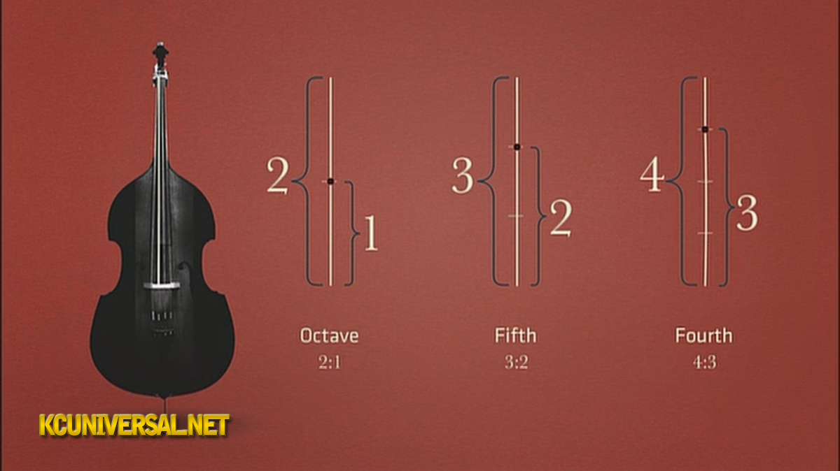 Octave, fifth, and fourth on a cello, featuring on the 2015 PBS NOVA documentary 'The Great Math Mystery' showing and proving that music is rooted in mathematics!