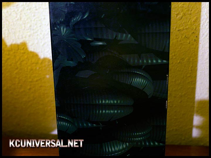 Back Tape Cover